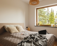 Wooden windows