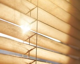 Bamboo blinds