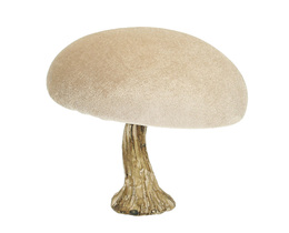 Ciupercă de catifea Dekoracja 12 cm bej