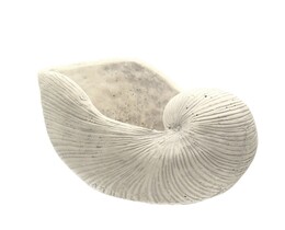 Doniczka Crustacee