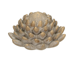 Anghinare decorativă