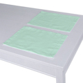 Set of 2 Placemats