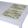 Set of 2 Placemats