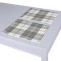 Set of 2 Placemats
